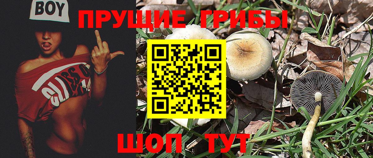 Галлюциногенные грибы Magic Shrooms Лесной